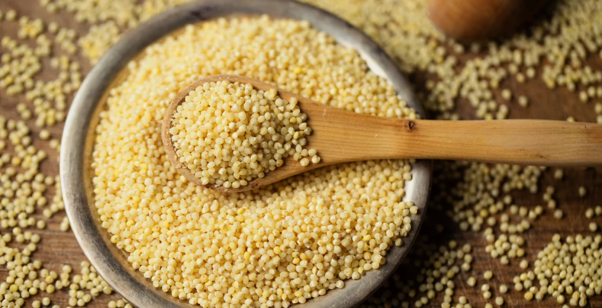 Hirse – Gesundheit, Nährstoffe, Anwendung & Rezepte