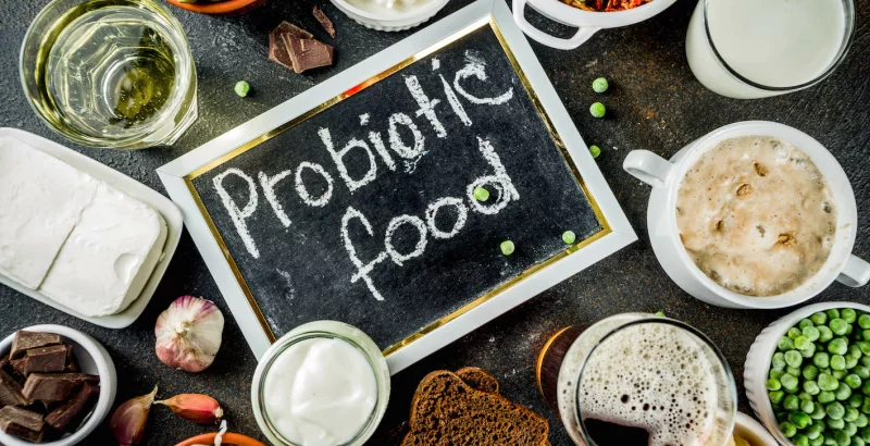 Probiotic Food