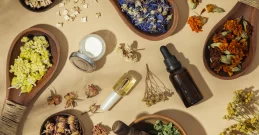 Die Kraft der Natur nutzen – Heilpflanzen und ihre wertvollen Extrakte