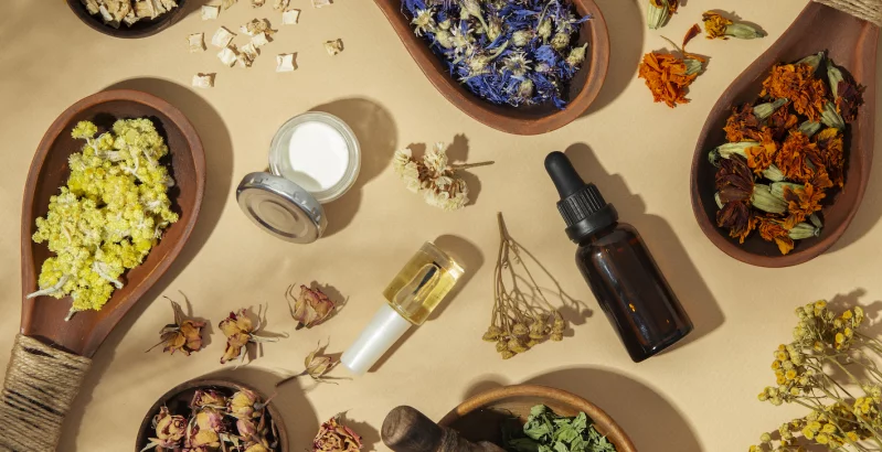 Heilpflanzen und ihre wertvollen Extrakte