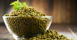 Die Mungbohne: Kleine Hülsenfrucht mit großer Wirkung!