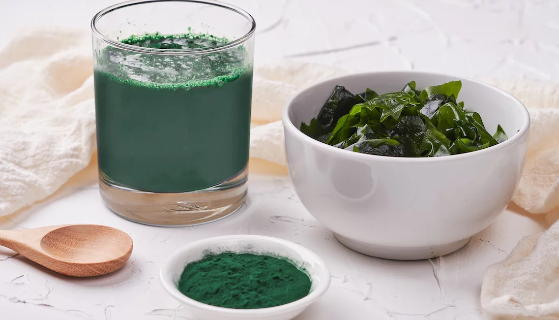Kelp-Alge in einem Glas
