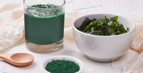 Kelp-Alge in einem Glas