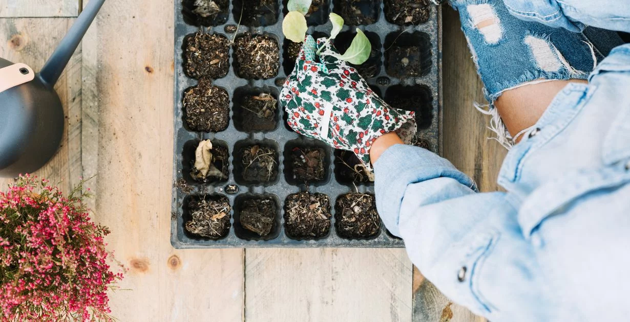 Ideen für einen Mini-Garten auf dem Balkon: Kräuter, Obst und Gemüse für die Pflanzzeit im März!
