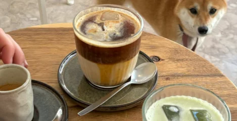 Hojicha Tee