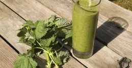 Brennnessel Smoothie-Boost!