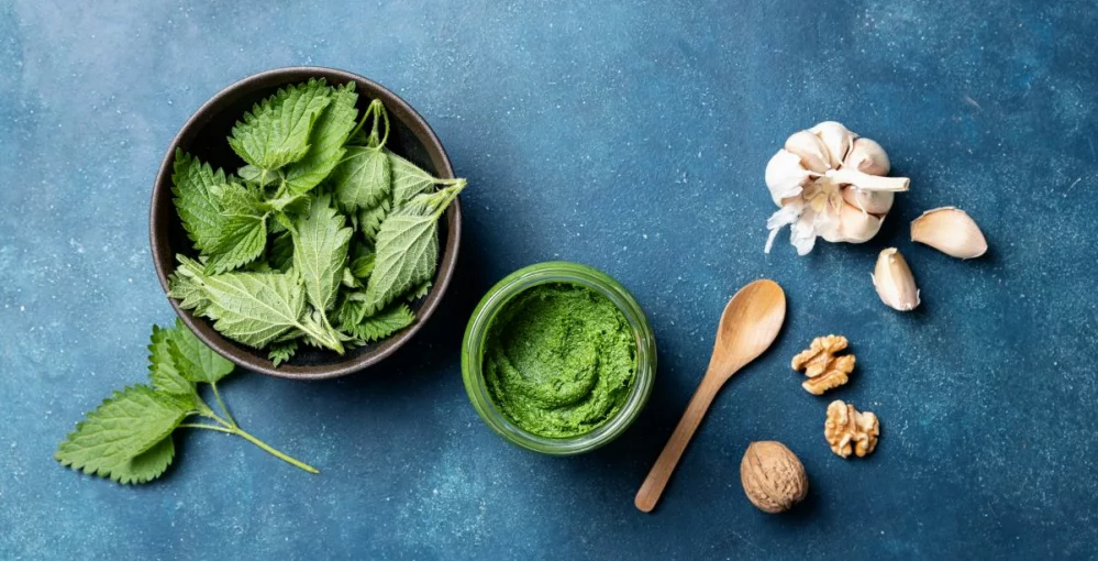 Hausgemachtes Pesto aus Brennnesseln